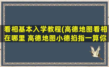 看相基本入学教程(高德地图看相在哪里 高德地图小德掐指一算你是教程)